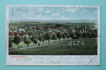 Ansichtskarte AK Neudietendorf 1903 Straße Häuser Kühe Ortsansicht Architektur Thüringen